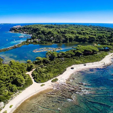 Paradise Center With Pool And Park Le Lys * Cannes